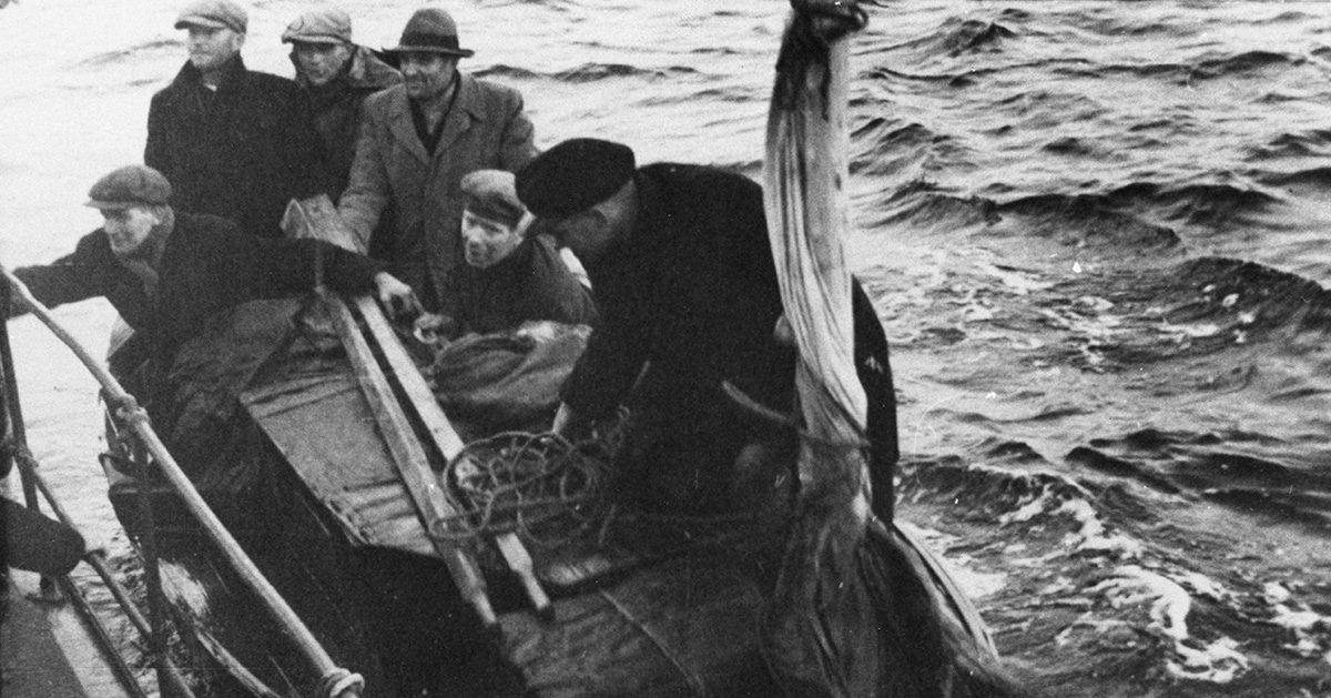 Lena Kronbergs farfar och farmor kom med båt från Danmark – de här flyktingarna kom några månader senare från Estland.