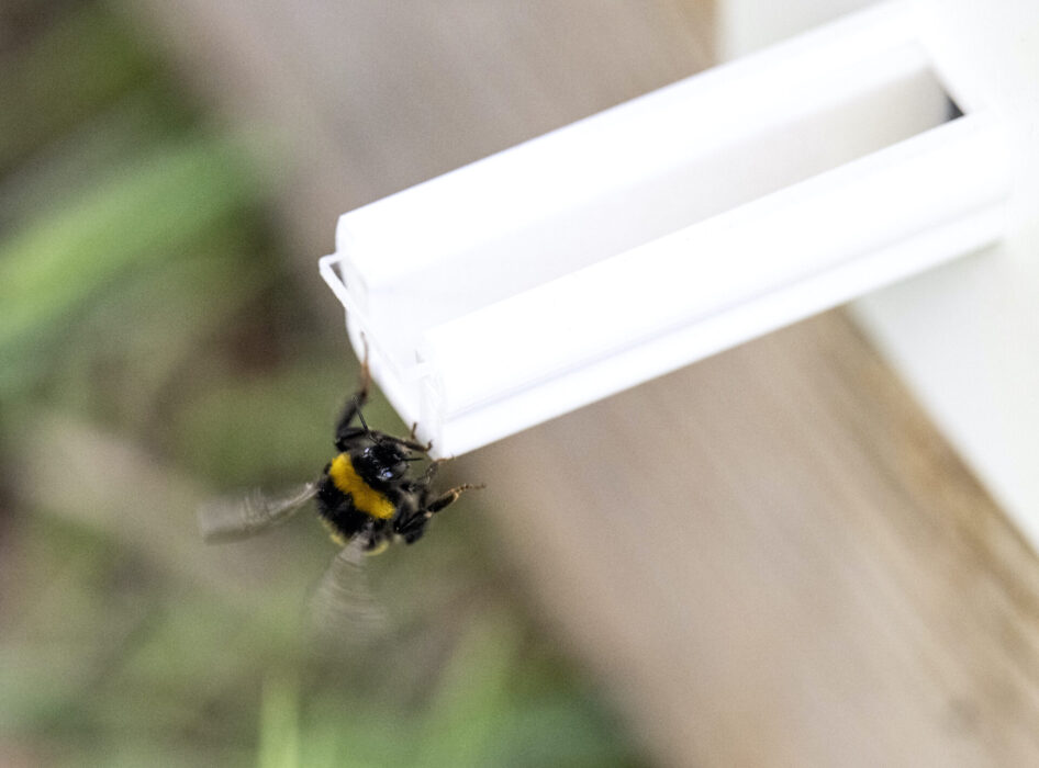 Bekämpningsmedel skadar till exempel pollinerare.