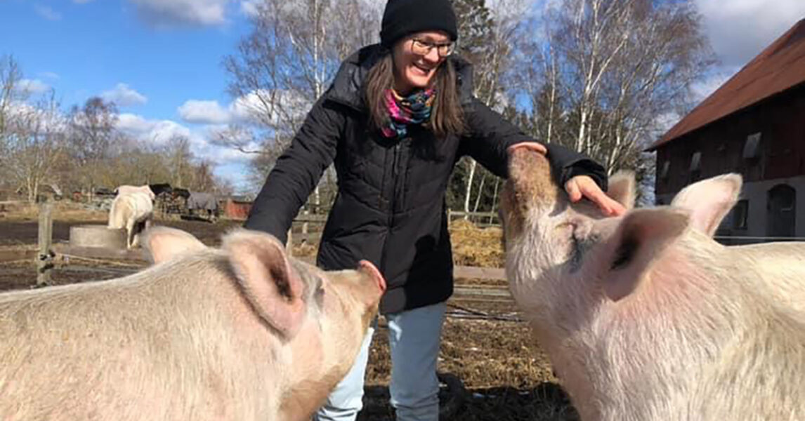 På Malvadals grisfristad är varje dag Djurens dag, skriver Johanna Månsson.