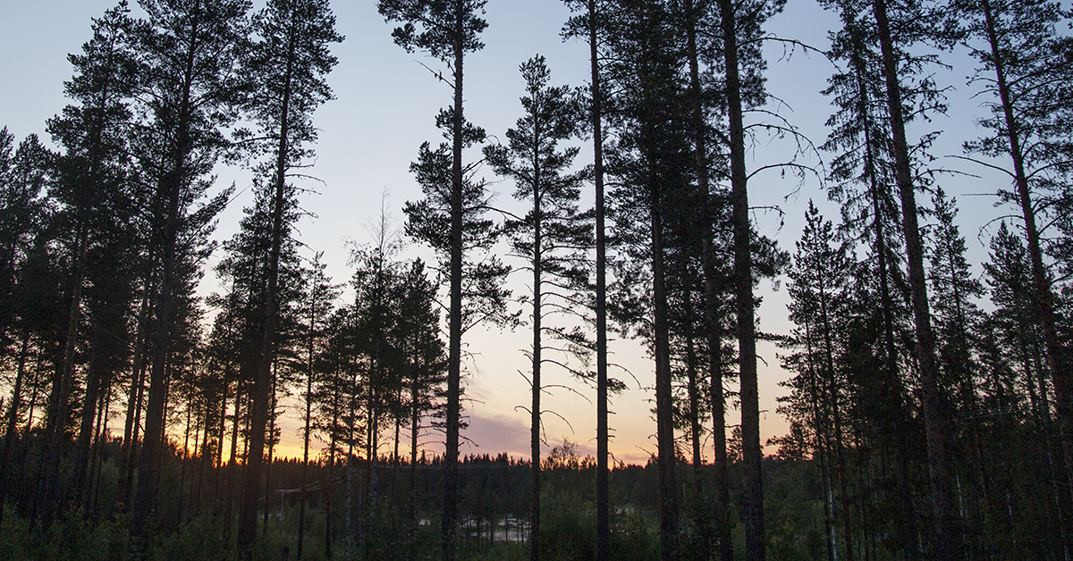 Midnattssol i Åträsk i Norrbotten.