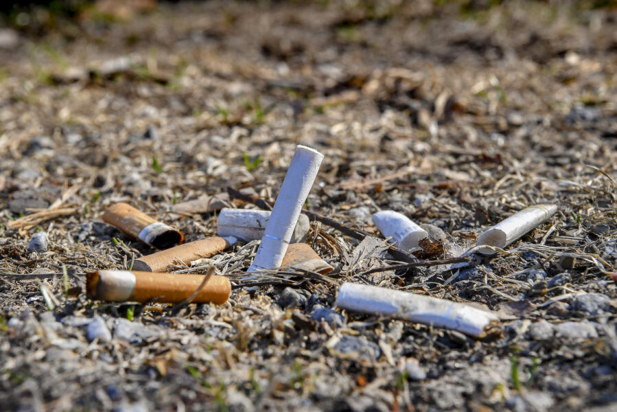 Hela 48 procent av allt skräp på gator, torg och i parker är cigarettfimpar.