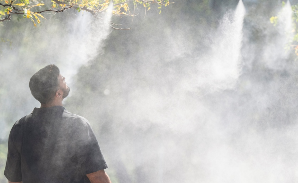 En man i kanadensiska Montreal, som upplevde höga temperaturer i september i år, söker svalka under ett träd.