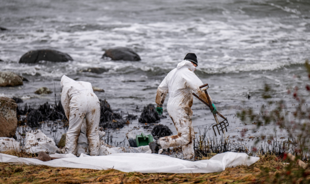 Personal från Kustbevakningen och Sölvesborgs kommun arbetar med sanering efter oljeläckaget från passagerarfartyget Marco Polo vid naturreservatet Spraglehall.