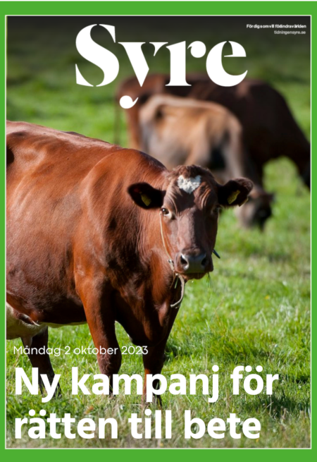 Nummer arkiv