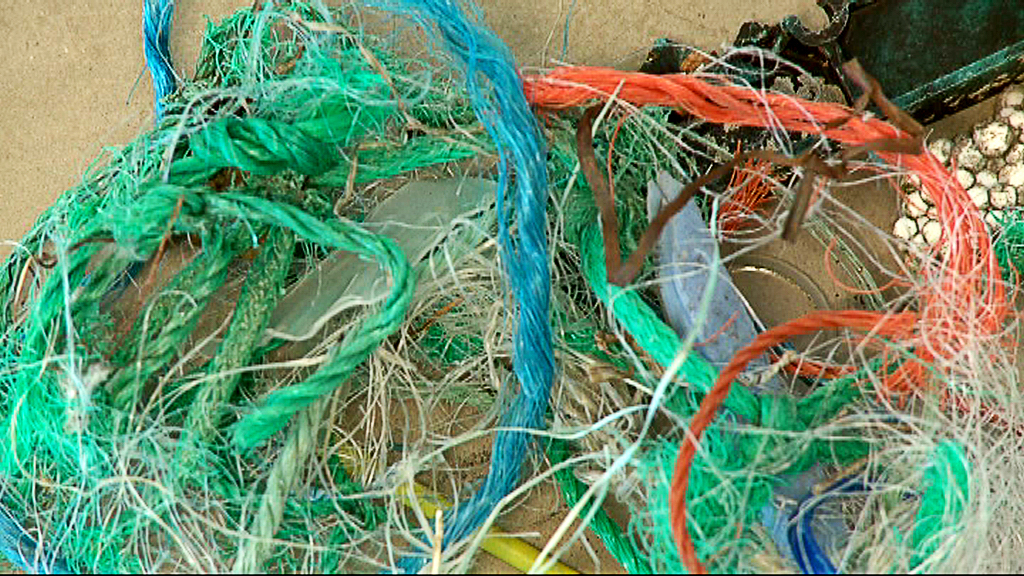 Plastskräp i haven bryts ner till mindre beståndsdelar och blir så småningom mikroplast.