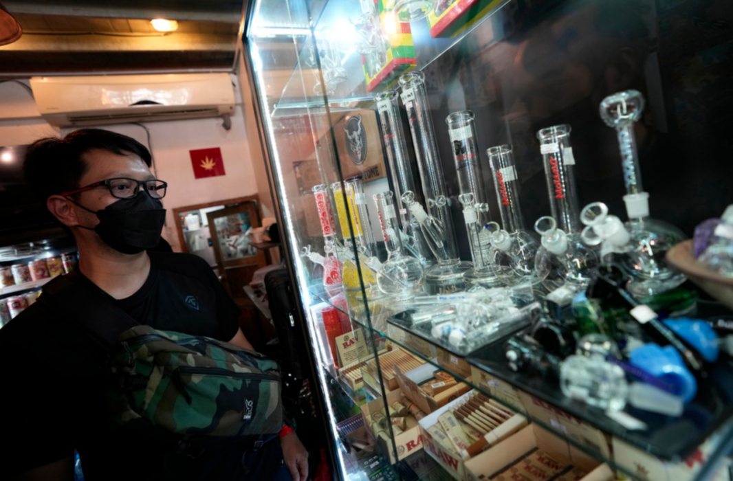 En kund studerar utbudet på Highland Cafe i Bangkok, ett av de många ställen i Thailand där man kan köpa cannabis och utrustning för att konsumera den.