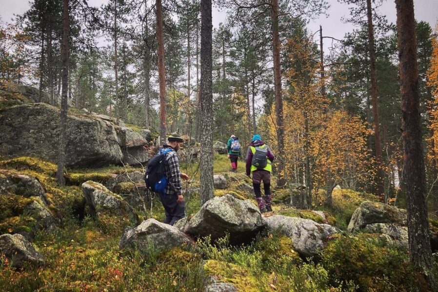 Sedan ett år har Övertorneå naturskyddsförening en skogsgrupp.