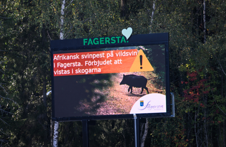 Skylt uppsatt av Fagersta kommun med texten "Afrikansk svinpest på vildsvin i Fagersta.