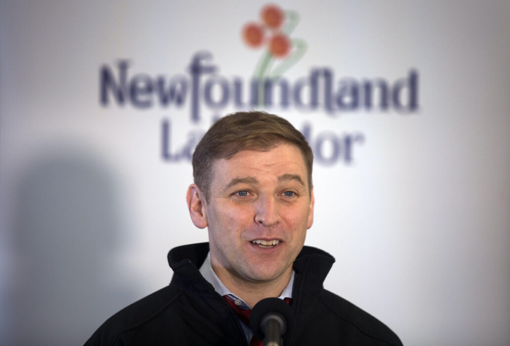 Andrew Furey, premiärminister för provinsen Newfoundland och Labrador i Kanada vill stärka de ekonomiska stöden för svaga grupper, bland annat med ett basinkomstprogram för 60-65 åringar.