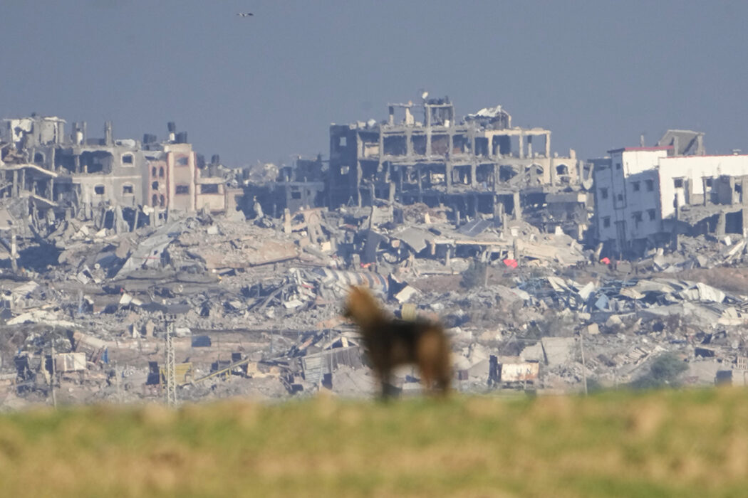 En schakal blickar från södra Israel ut över förödelsen på Gazaremsan, 17 december 2023.