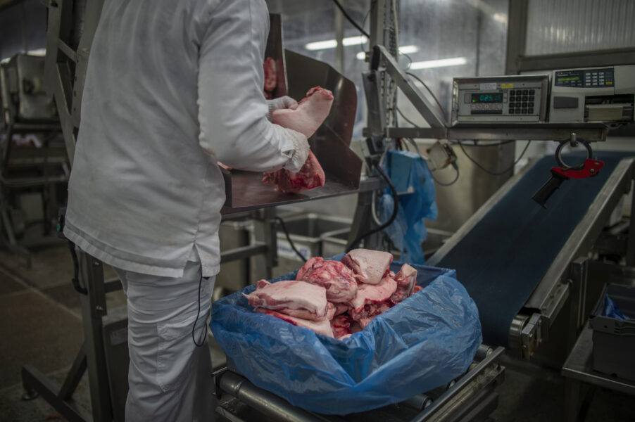 På slakterier omvandlas djur, som en del av livsmedelskedjan, till köttprodukter.