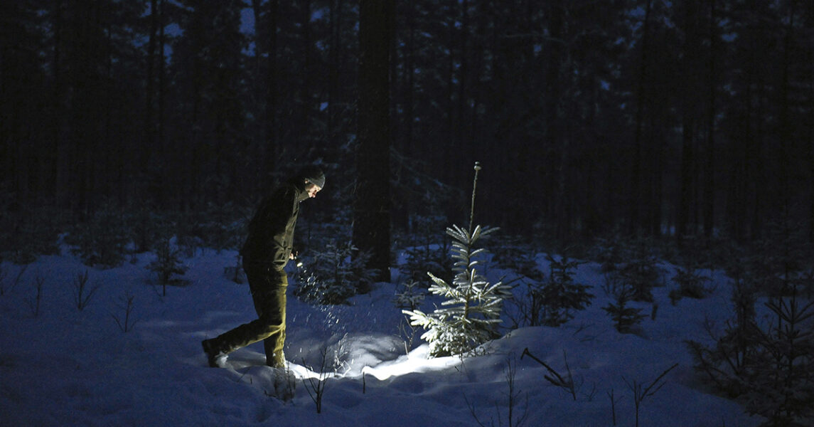 En jägare söker efter vargspår norr om Laxö i Örebro län.