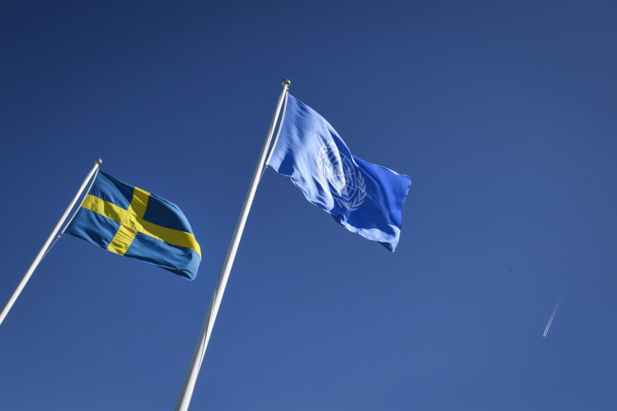 Institutet för mänskliga rättigheter rapporterar till FN om brister i ekonomiska, sociala och kulturella rättigheter i Sverige.