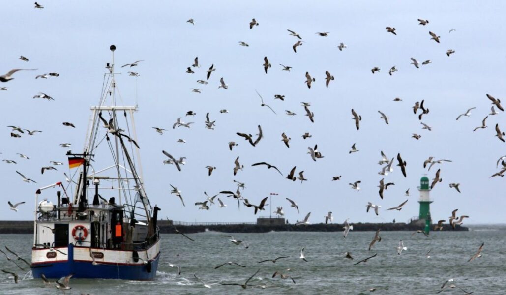 Förslaget om att med hjälp av ett snabbspår ta bort en säkerhetsmekanism i förvaltningen av Östersjöns fiskebestånd, röstades idag ner av EU-parlamentet.