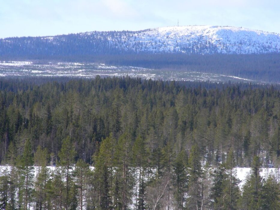 Under 2023 betalade Skogsstyrelsen ut nästan 309 miljoner kronor i ersättningar till markägare som nekats avverka i fjällnära områden på grund av höga naturvärden.