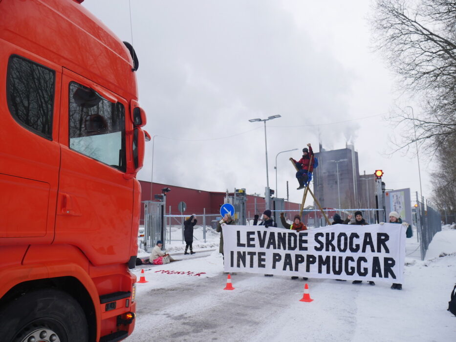 Massabruket i Gävle blockerades av aktivister som anklagar Stora Enso för att bland annat plantera plantager med snabbväxande eukalyptus som förstör för den biologiska mångfalden.