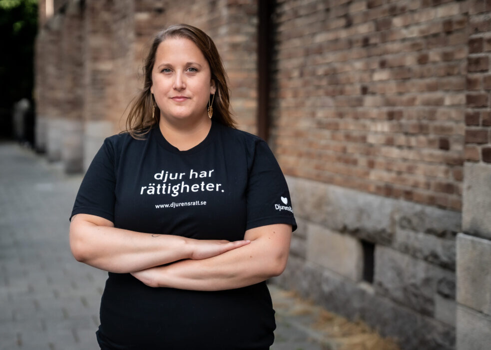 Antalet slaktade djur minskade 2023, en framgång enligt Djurens rätts Camilla Bergvall.