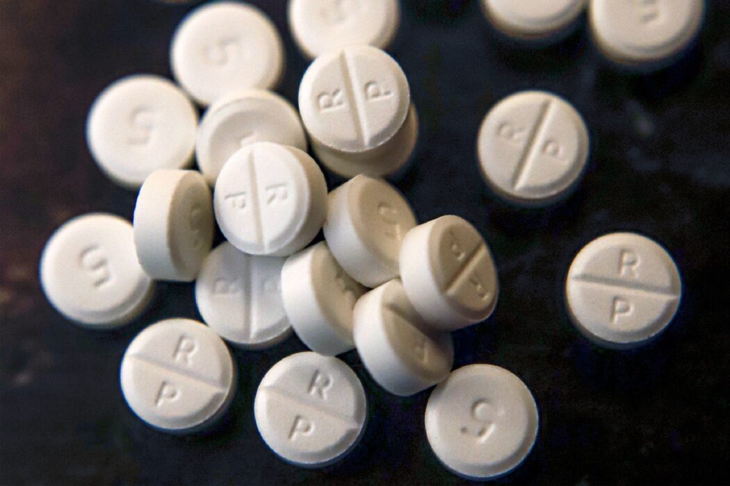 Opioider låg bakom 86 procent av dödsfallen och oxikodon var den vanligaste opioiden, enligt rapporten.