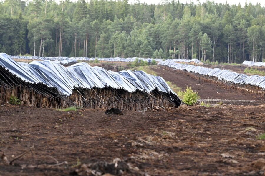 Estland ska återställa våtmarker och torvtäkter som har exploaterats eller dikats ut.