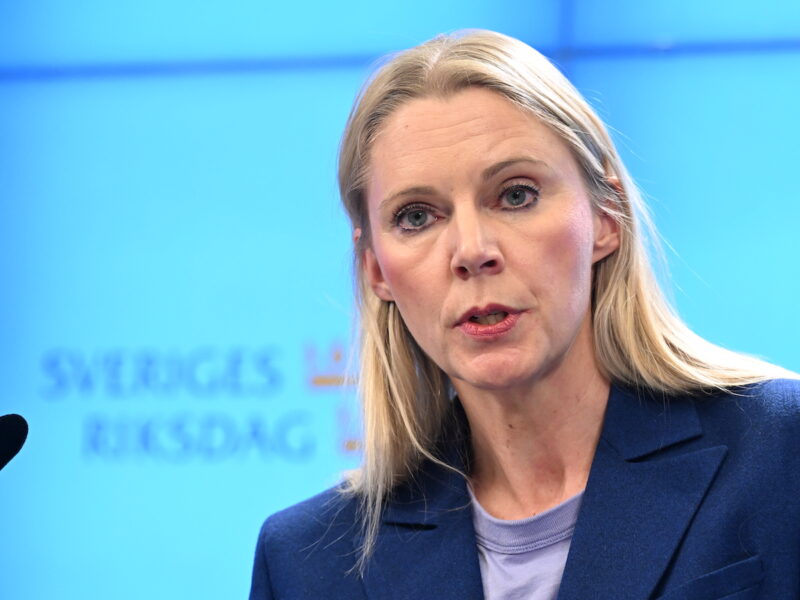 Socialdemokraternas Åsa Westlund (S) under pressträff om unga pojkars skolresultat.