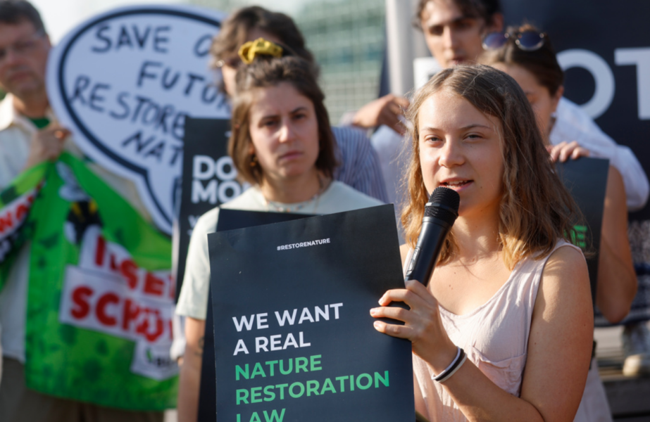 Klimataktivisten Greta Thunberg har engagerat sig för restaureringsförordningen.
