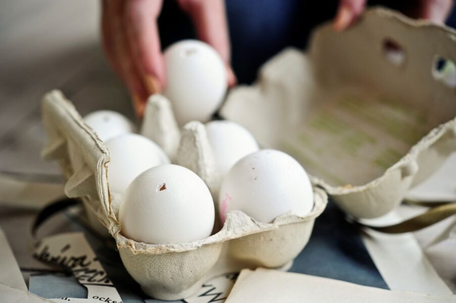  Gifterna dioxiner, PCB och PFAS finns i högre halter i ekologiska ägg än konventionella ägg, enligt granskning från Råd & rön.