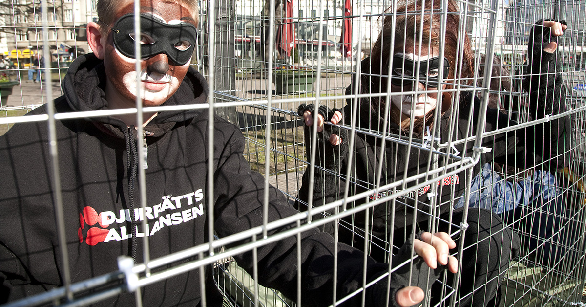 Djurrättsalliansen demonstrerar i Malmö i mars 2012.