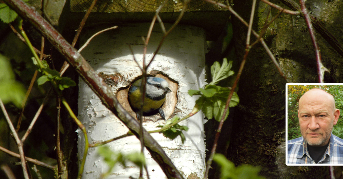 I sin bok Tyst vår varnade Rachel Carson för att DDT skulle spridas i naturen och döda insekterna så att småfåglarna inte fick något att äta.