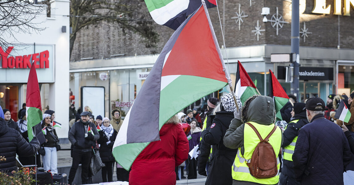 Föreningen Handala håller en manifestation för Palestina i Norrköping i november 2023.