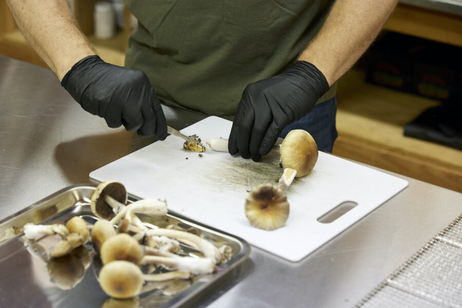 Magiska svampar kan dämpa ångest och oro hos dödssjuka patienter i livets slutskede.