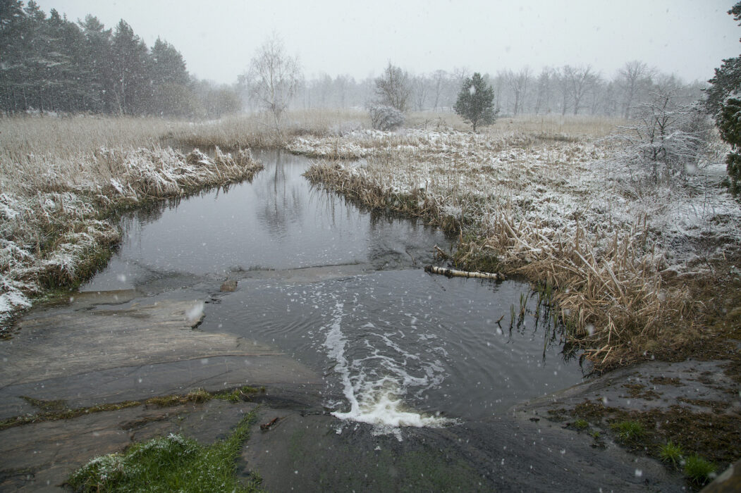 Vinterbäck, våtmark