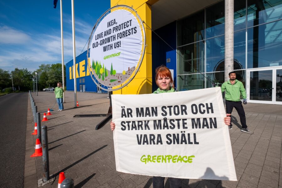 Greenpeace Sverige genomförde en aktion utanför Ikea vid Kungens kurva, Stockholm, under onsdagen då rapporten släpptes.