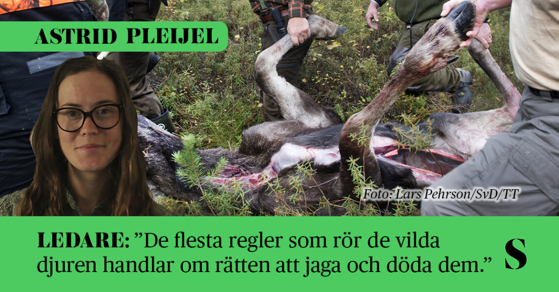 I förgrunden: porträtt av skribenten. I bakgrunden: Några män släpar en död älg genom skogen.