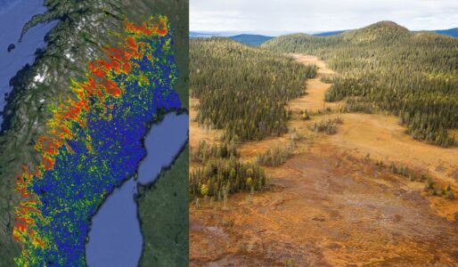 Dubbelbild med norra Sverige karta och skogslandskap
