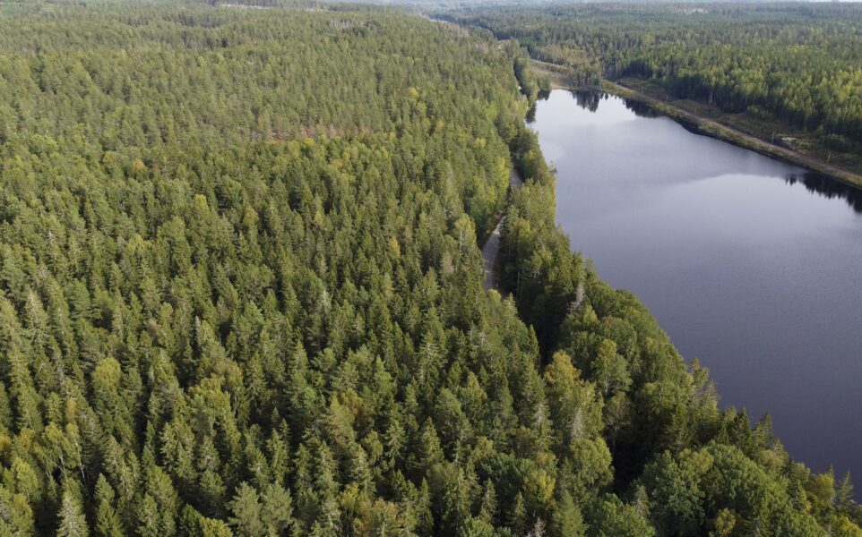 Redan idag har Skogsstyrelsen svår att hinna med alla ärenden som kommer in, bland annat avverkningsanmälningar kopplade till artskyddet.