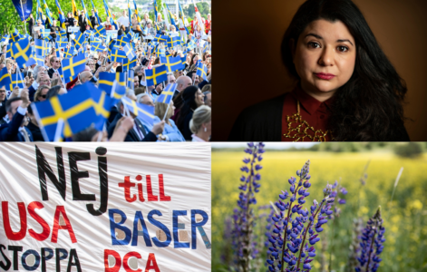 Collage: Folk viftande med svenska flaggor, Mireya Echeverria Quezada, banderoll med Nej till DCA, lupiner.