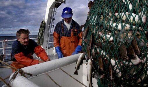 Torskfiske när det ännu fanns torsk i Östersjön.