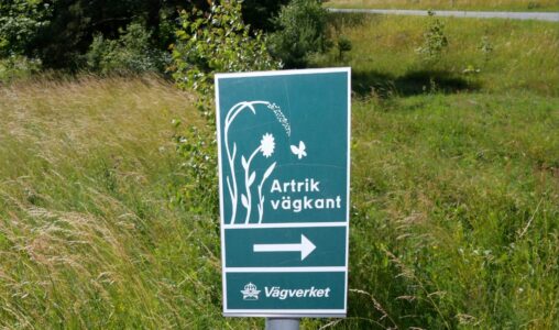 Skylt som meddelar "Artrik vägkant" vid trafikplats Maglehem på Österlen.