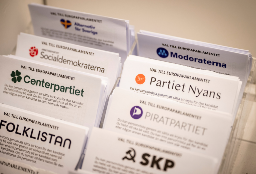 Rekordmånga partier ställde upp i årets EU-val men bara de åtta riksdagspartierna klarade fyraprocentsspärren.