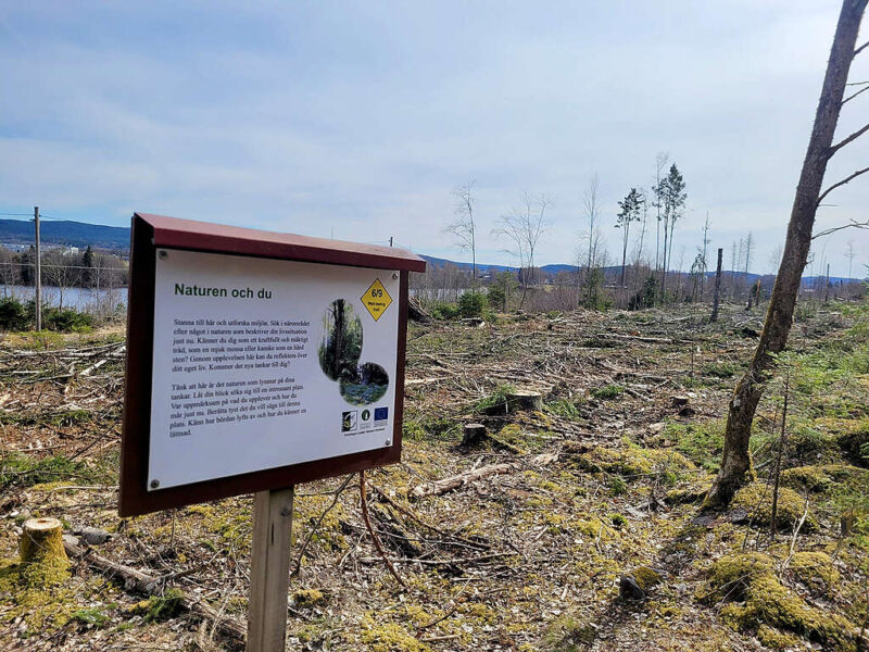 Juryns motivering: Det tragikomiska i att inte längre kunna njuta av naturen och ”utforska miljön” gör det här kalhygget till en självklar finalist.