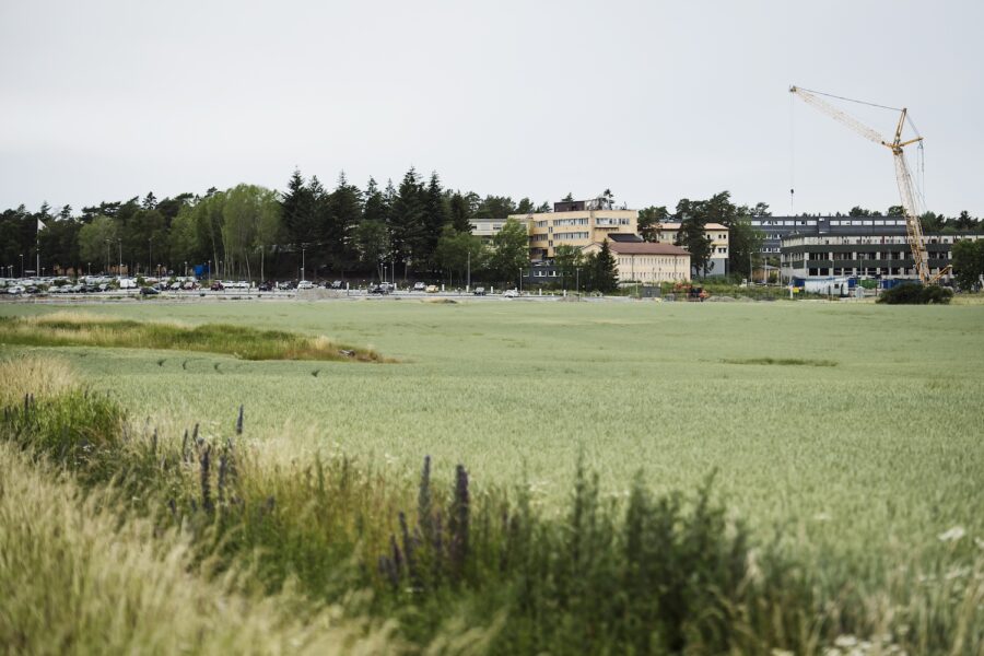 Försvarets radioanstalt, FRA, ska bygga ut sin verksamhet på Lovön, och därför har en del av det omkringliggande naturreservatet upphävts som naturreservat.