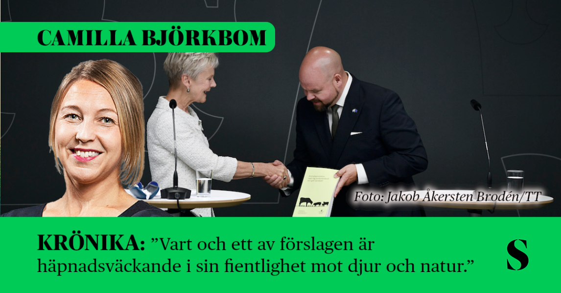 Landsbygdsminister Peter Kullgren (KD) och särskilda utredaren Elisabeth Nilsson under en pressträff om stärkt konkurrenskraft för livsmedelsproducenter och ett starkt djurskydd. Skribenten i förgrunden.