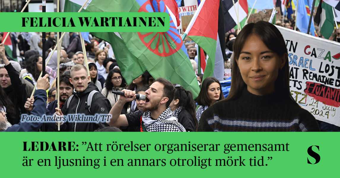 En demonstration med bland annat romska flaggor och Palestinaflaggor. Skribenten i förgrunden.