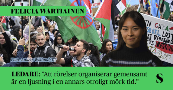 En demonstration med bland annat romska flaggor och Palestinaflaggor. Skribenten i förgrunden.