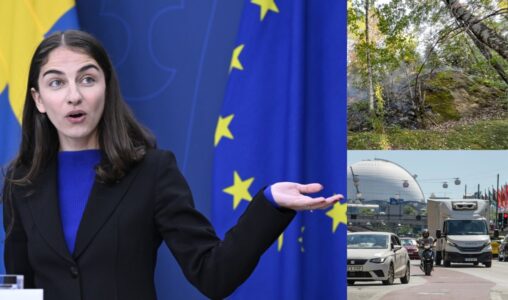 Klimat- och miljöminister Romina Pourmokhtari (L) och bild på skog och trafik.
