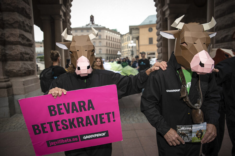 Människor i komasker, plakat med texten Bevara beteskravet