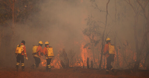 Brandkåren försöker släcka en skogsbrand.