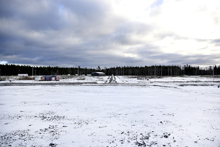 Vinterlandskap med skogsbryn