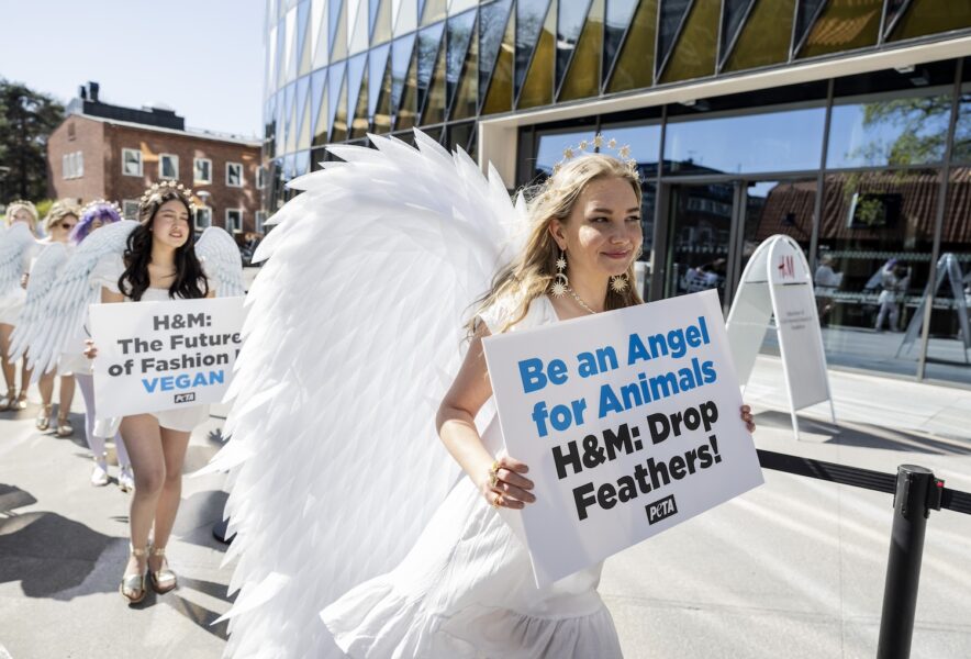 Demonstranter iklädda vita vingar protesterar utanför H&amp;M:s årsstämma.