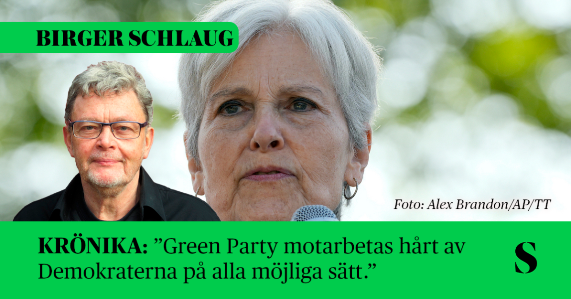 Jill Stein, skribenten i förgrunden.